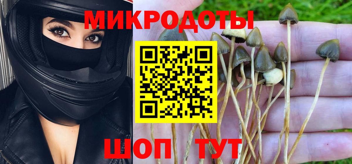 Галлюциногенные грибы Psilocybe Нефтеюганск